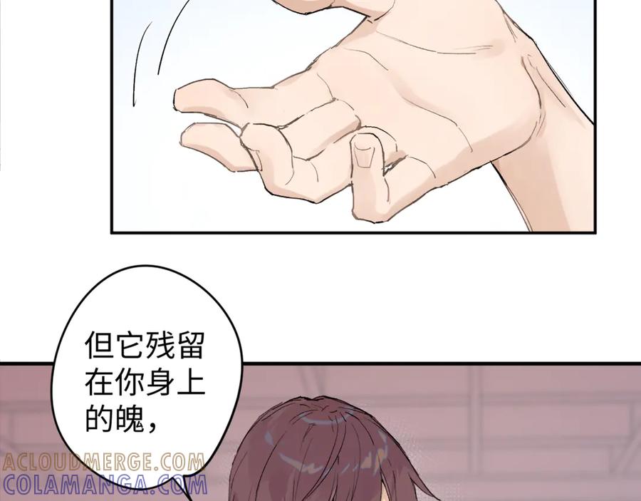 《鹤言虚语》第6话 喵喵问题 第13页