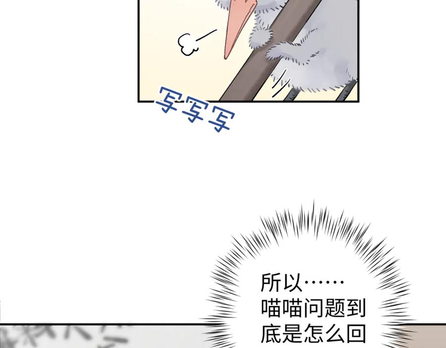 《鹤言虚语》第6话 喵喵问题 第36页