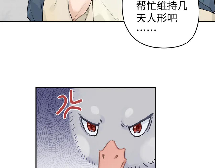 《鹤言虚语》第6话 喵喵问题 第15页