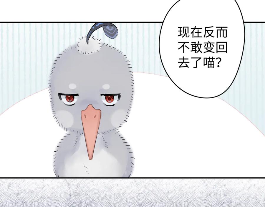 《鹤言虚语》第7话 我的鸭鸭 第4页