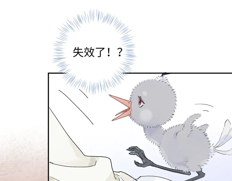 《鹤言虚语》第8话 准备复仇？ 第51页