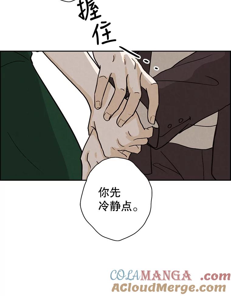 《消失的新郎》16.野蛮的臻爱 第52页