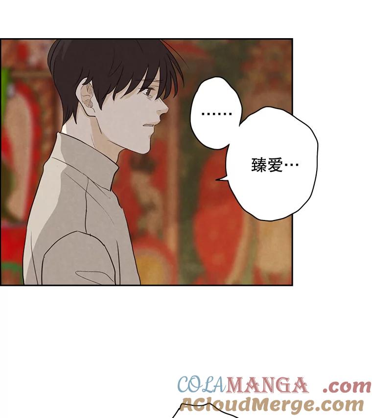 《消失的新郎》17.爱情到底是什么？ 第46页