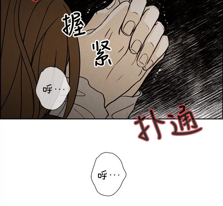 《消失的新郎》20.句号 第53页