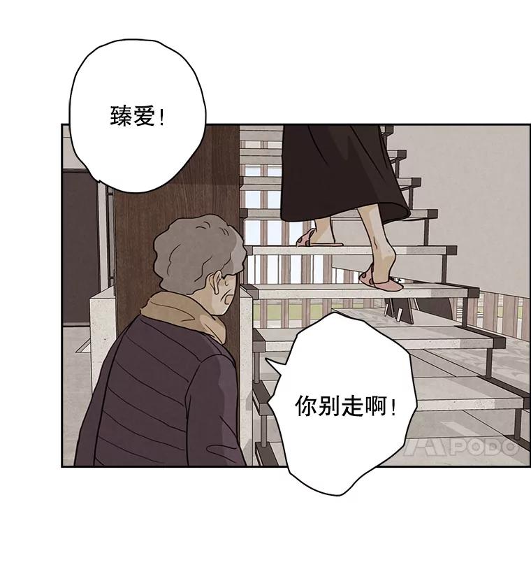 《消失的新郎》20.句号 第36页