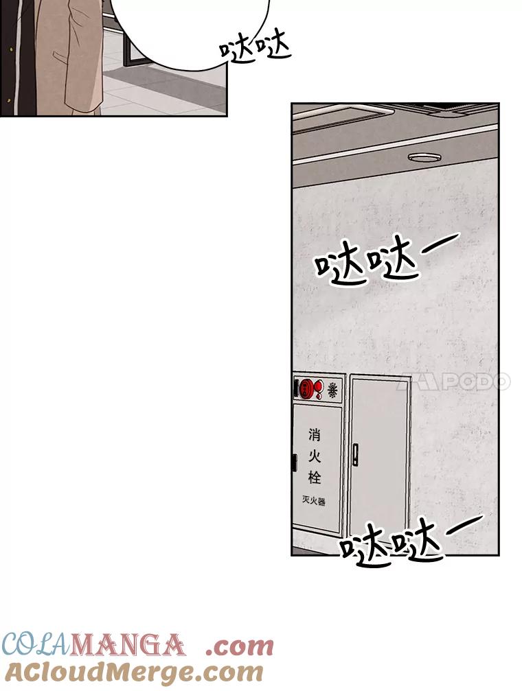 《消失的新郎》21.新的开始 第67页