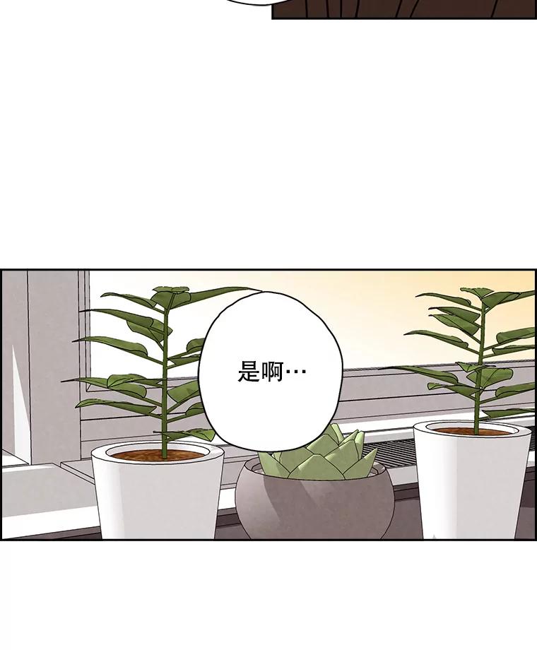 《消失的新郎》22.前男友 第27页