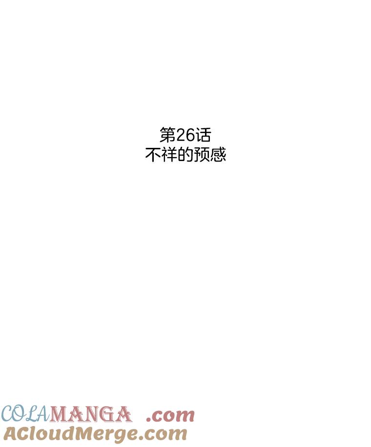 《消失的新郎》26.不祥的预感 第22页