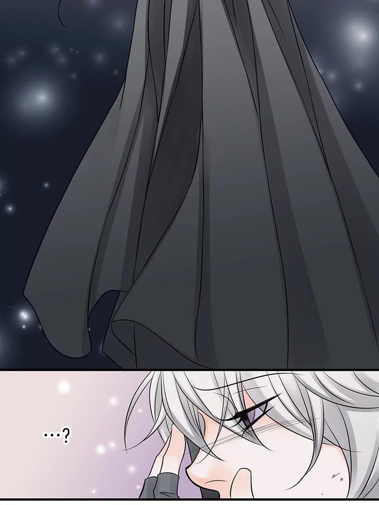《第8位契约新娘》2.闯进艾伦得城 第48页
