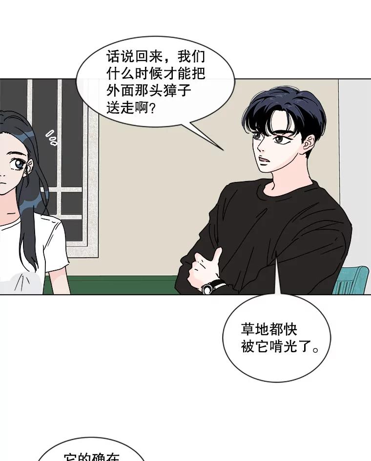 《青春之家》49.绿灯 第66页