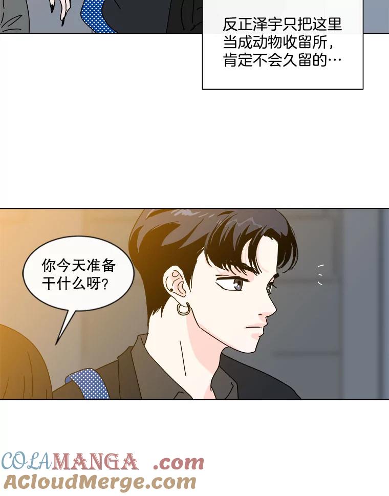 《青春之家》49.绿灯 第34页