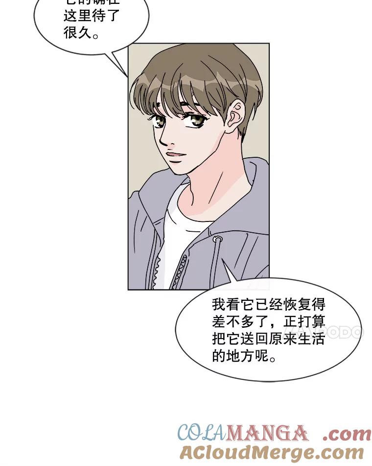 《青春之家》49.绿灯 第67页