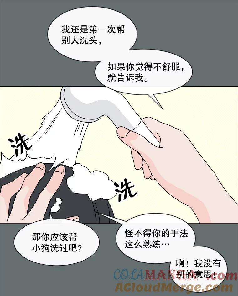 《青春之家》49.绿灯 第52页