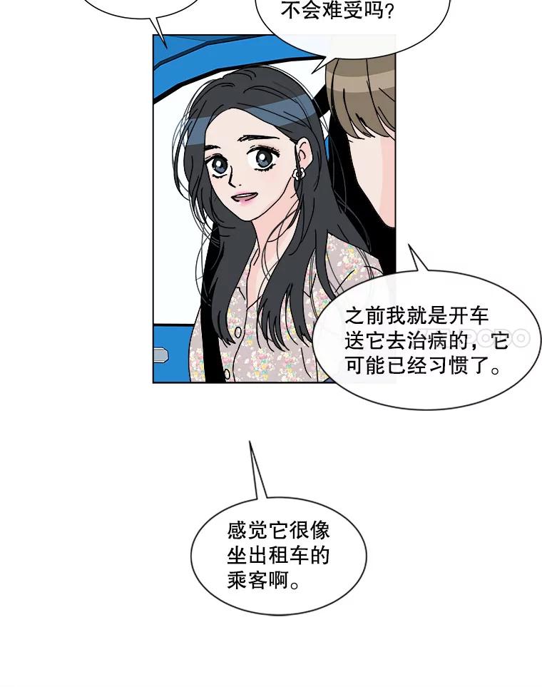 《青春之家》52.绿灯3 第18页