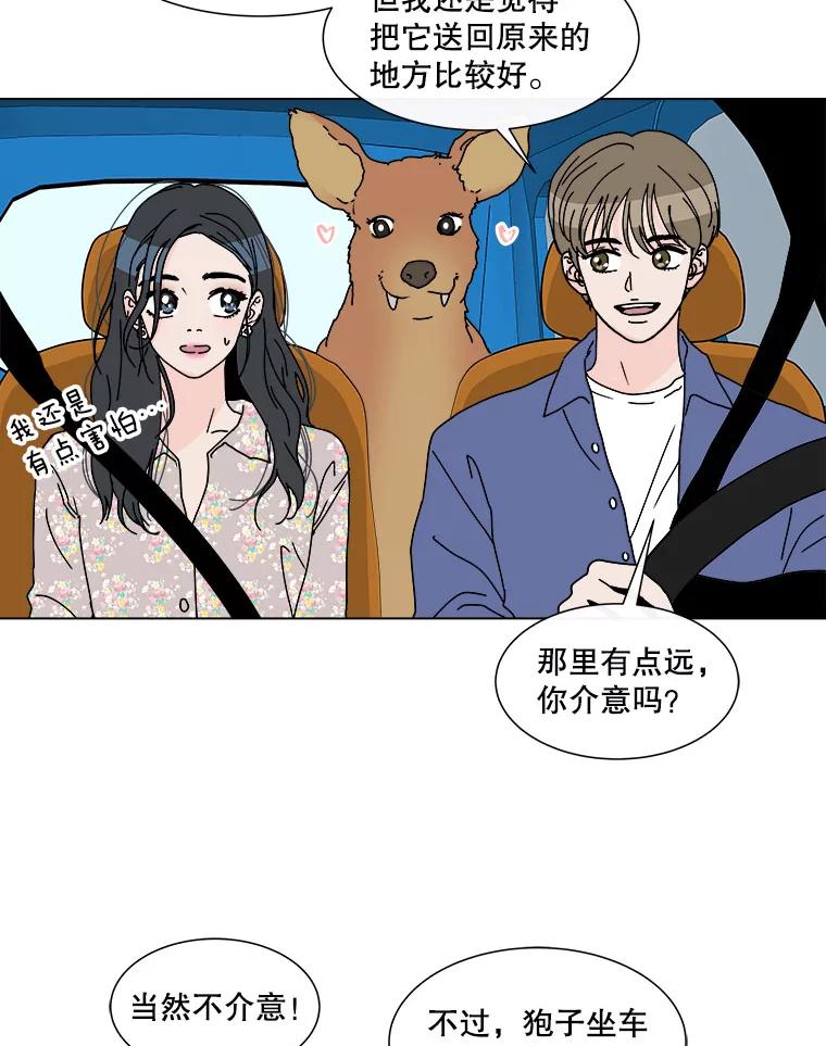 《青春之家》52.绿灯3 第17页