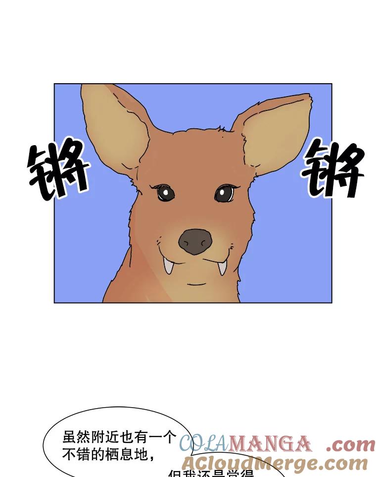 《青春之家》52.绿灯3 第16页