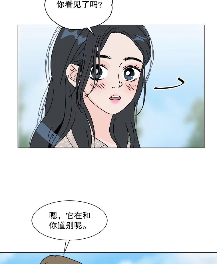 《青春之家》53.绿灯4 第29页