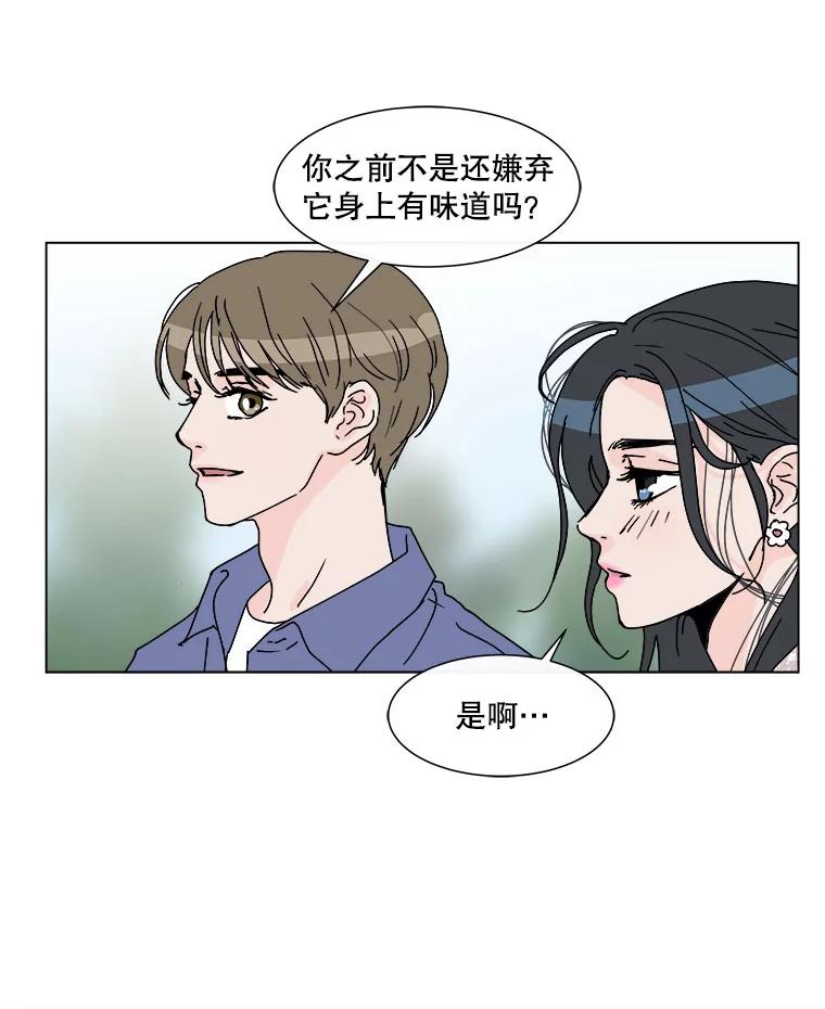 《青春之家》53.绿灯4 第35页