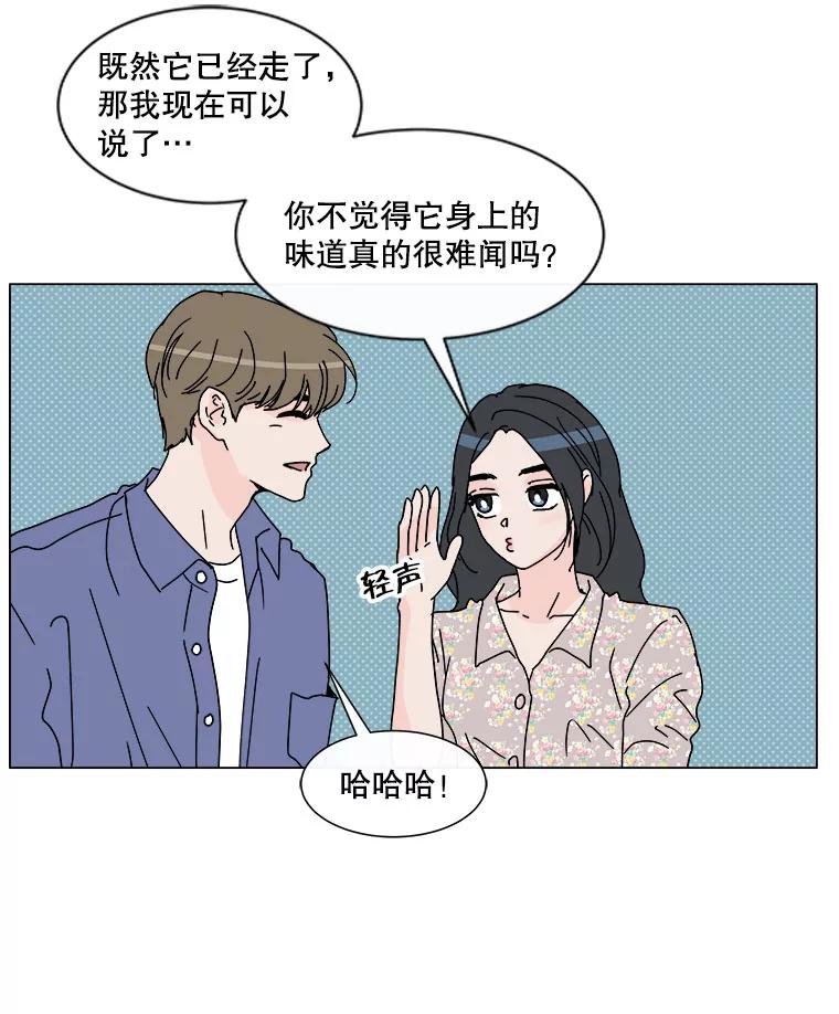 《青春之家》53.绿灯4 第36页