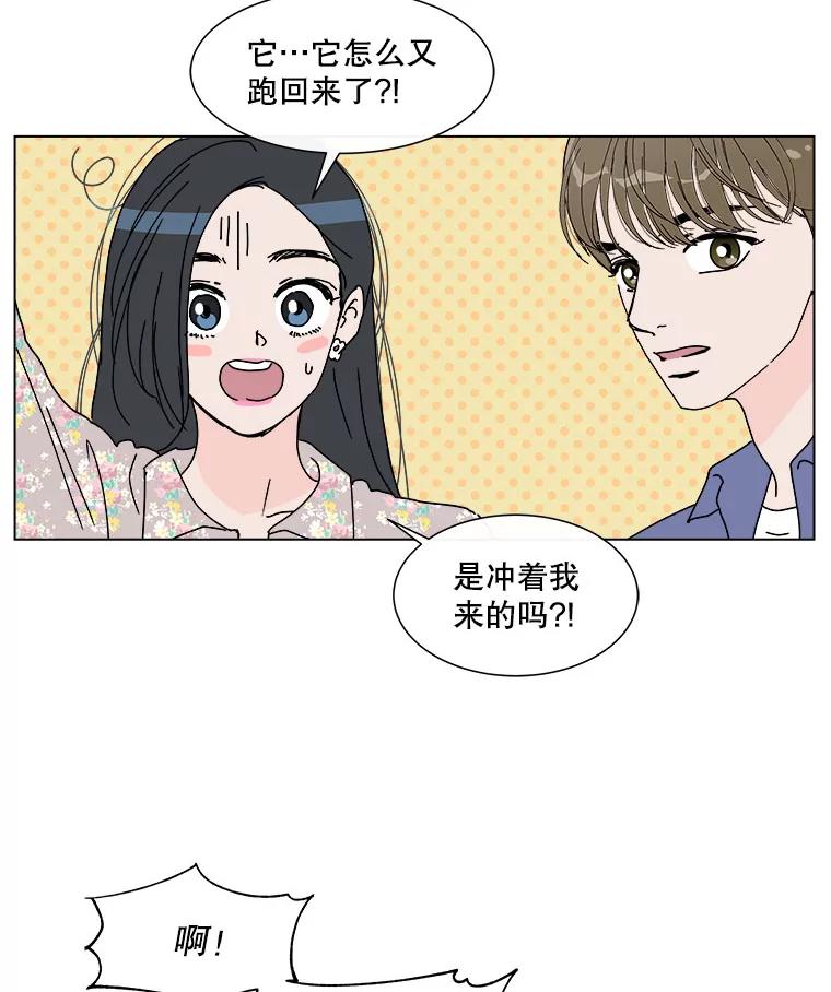 《青春之家》53.绿灯4 第21页