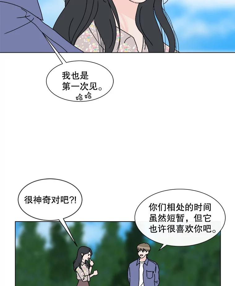 《青春之家》53.绿灯4 第32页