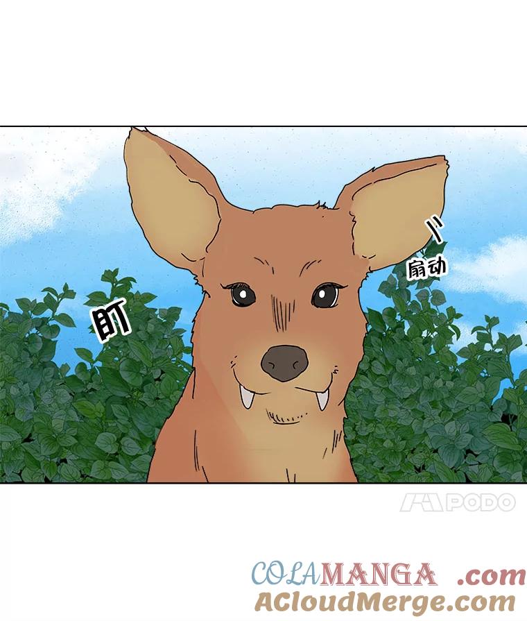 《青春之家》53.绿灯4 第19页