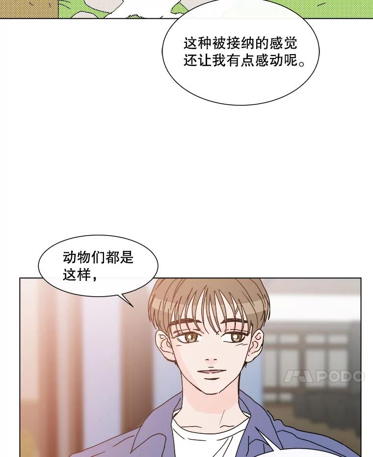 《青春之家》54.绿灯5 第18页