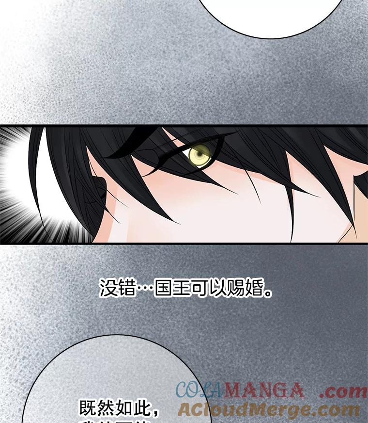 《第8位契约新娘》5.见国王 第97页