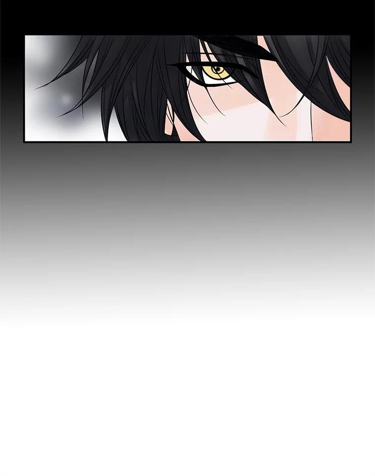 《第8位契约新娘》5.见国王 第27页