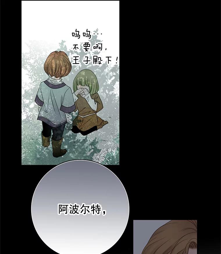 《第8位契约新娘》5.见国王 第35页