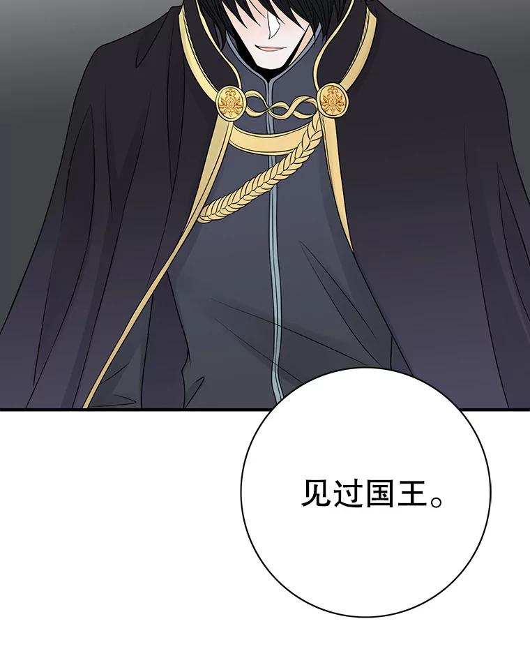 《第8位契约新娘》5.见国王 第31页