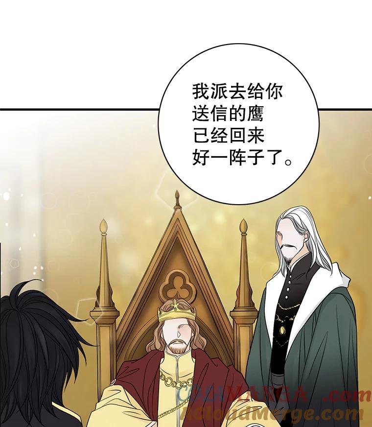 《第8位契约新娘》5.见国王 第45页