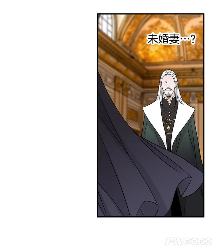 《第8位契约新娘》5.见国王 第104页