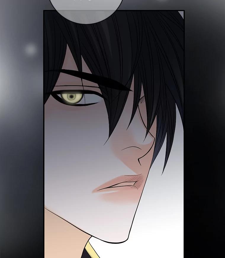 《第8位契约新娘》5.见国王 第67页