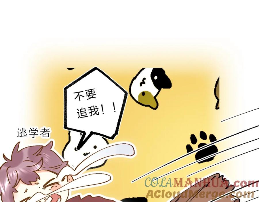 《垫底魔女》第48话 努力的方向 第13页