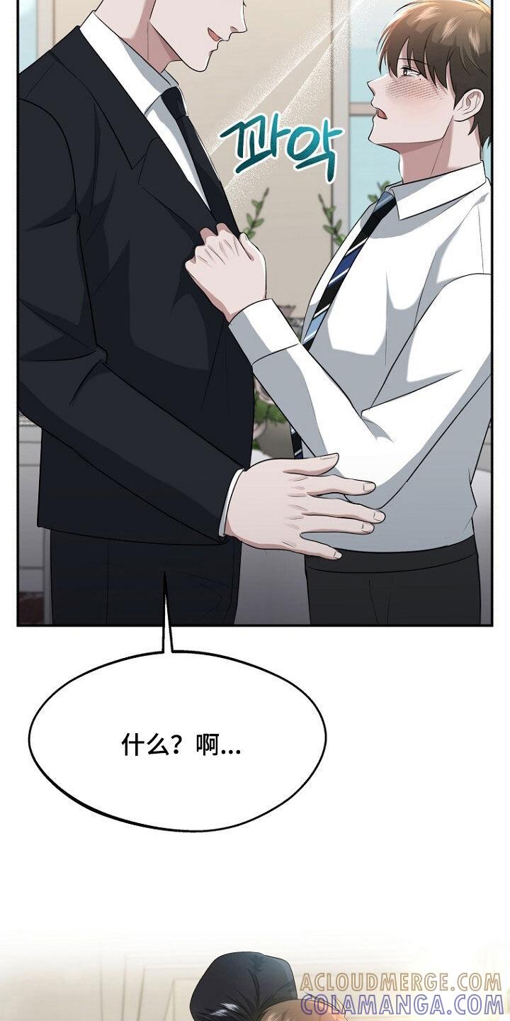 《秘书生存指南》第102章：约定终生（完结） 第15页