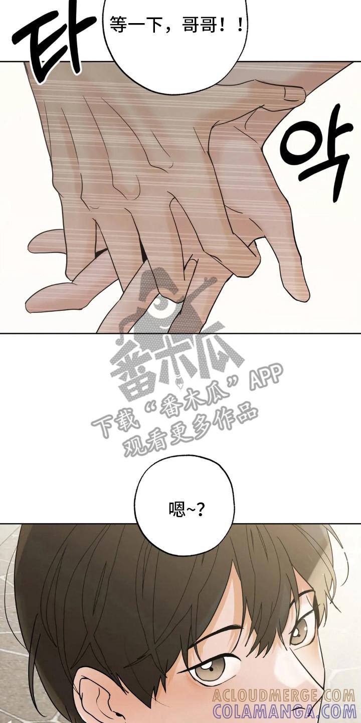 《邻居攻略》第151章：【第四季】婚后责任 第7页