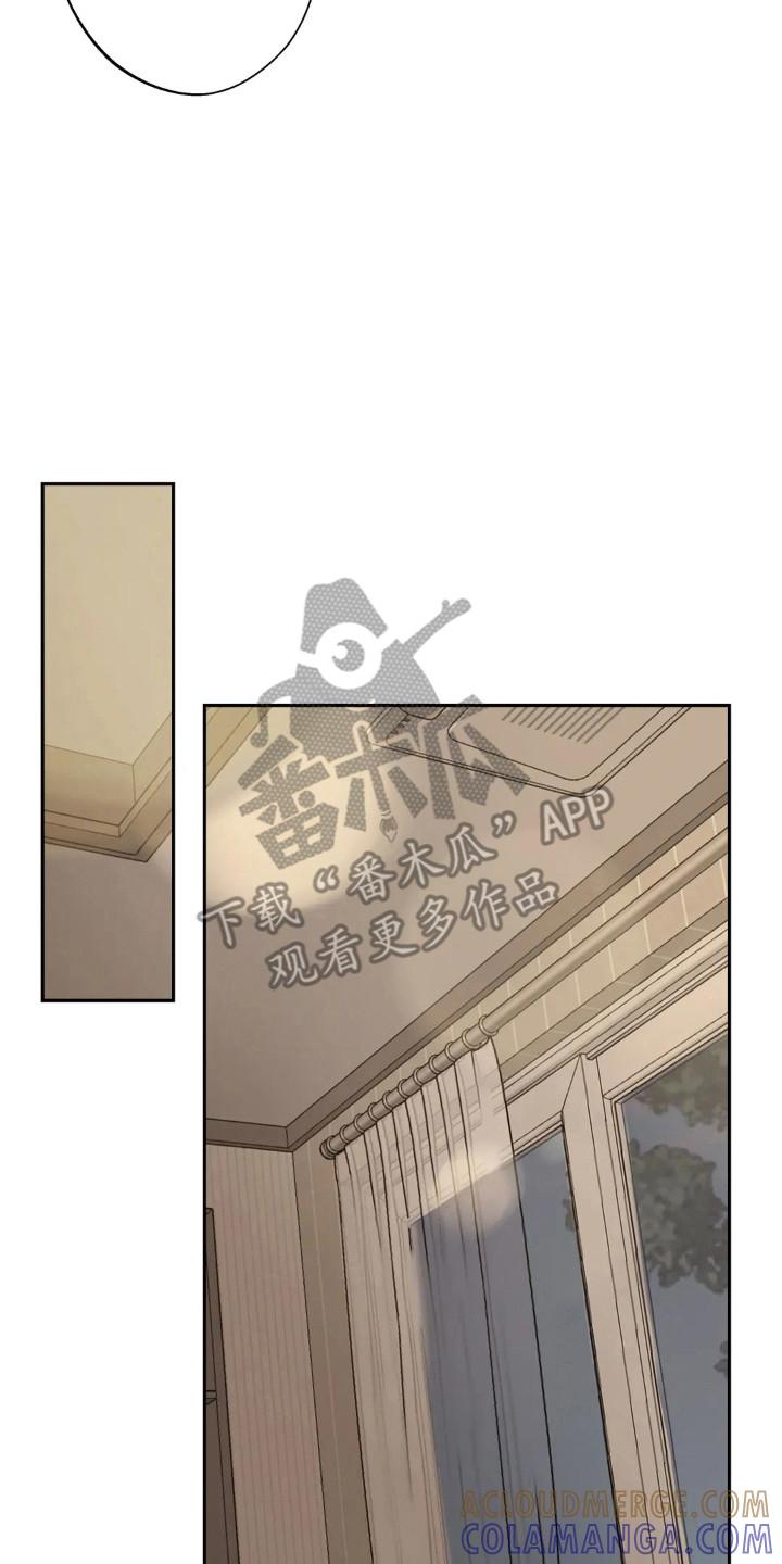 《邻居攻略》第158章：【第四季】稳定生活 第7页