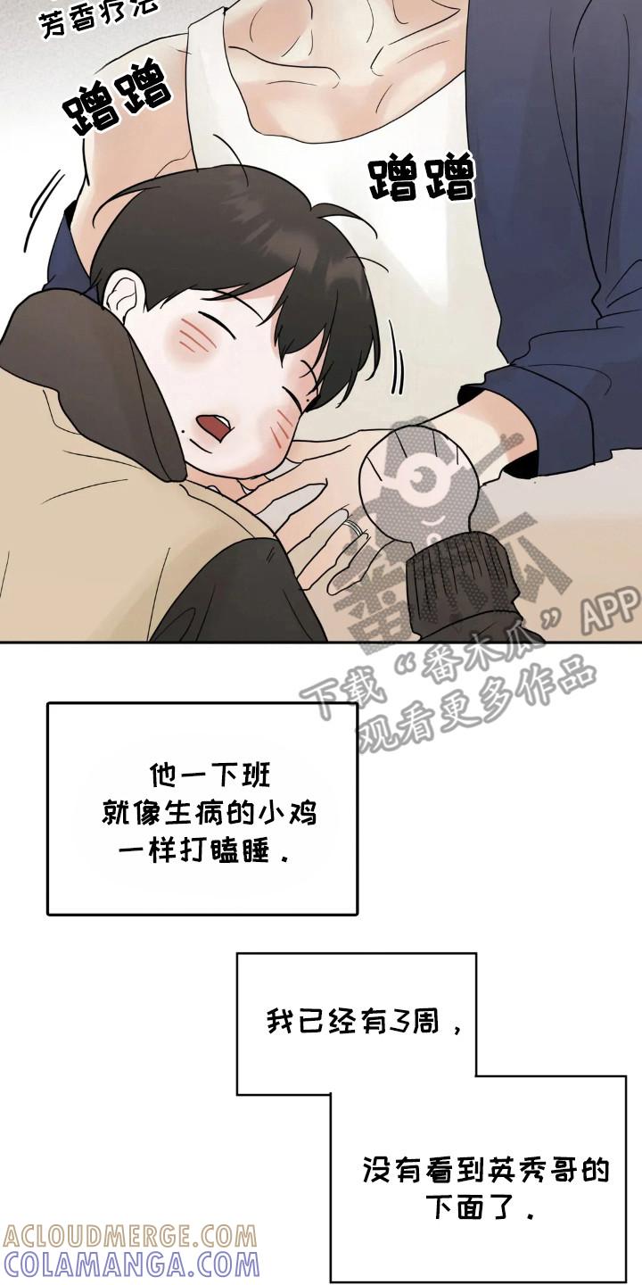 《邻居攻略》第159章：【第四季】准备周末 第15页