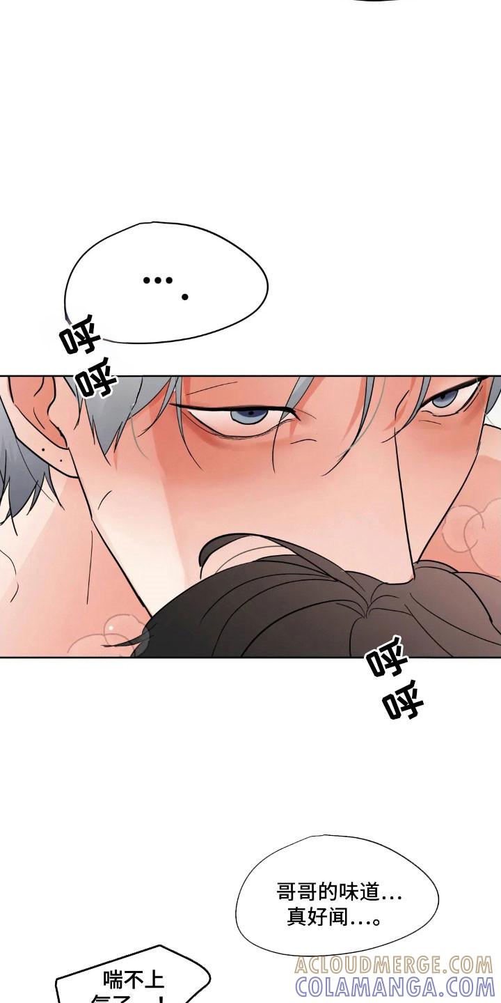 《邻居攻略》第162章：【第四季】乱吃东西 第17页