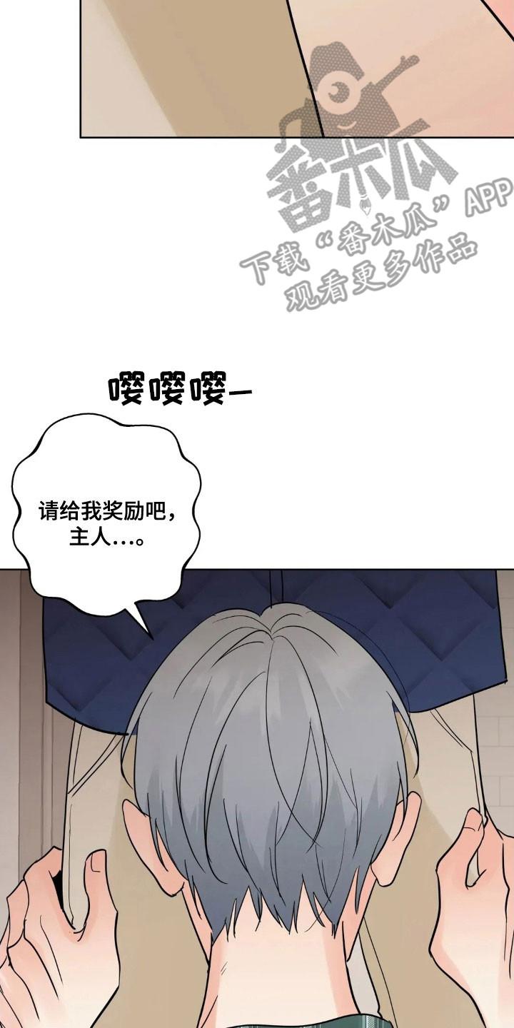 《邻居攻略》第165章：【第四季】最后问候 第2页