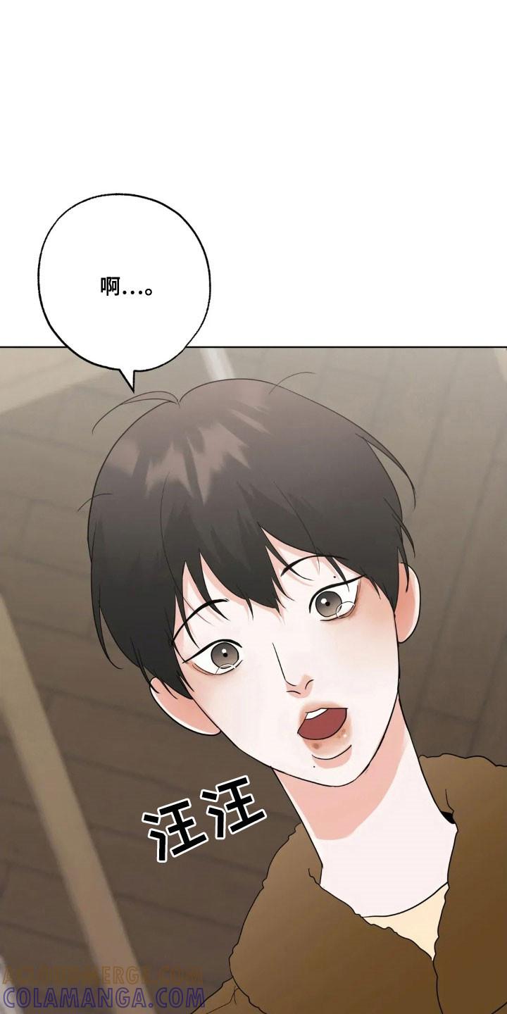 《邻居攻略》第168章：【第四季】失去记忆 第17页
