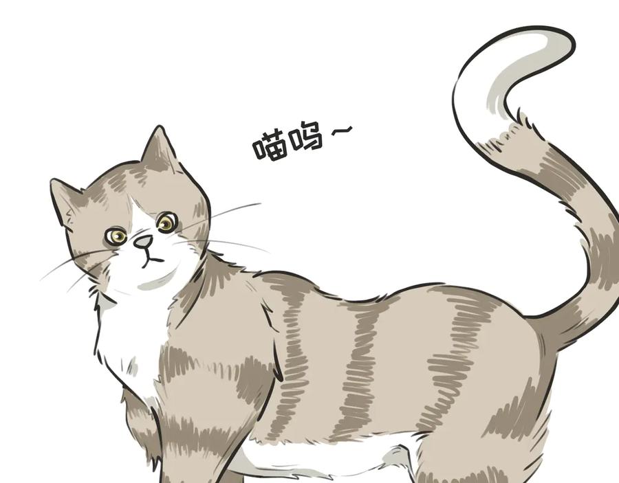 《掉进泸沽湖》第三话 受伤 第33页