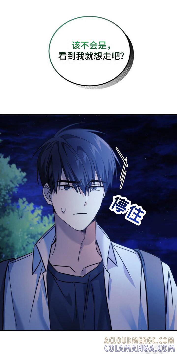 《追逐繁星》第24章：反应激烈 第13页