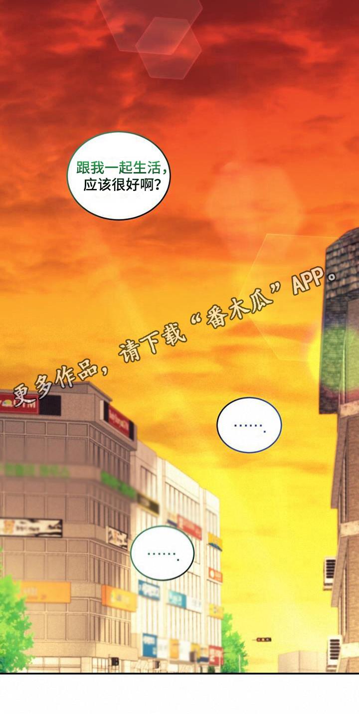 《追逐繁星》第31章：展望未来 第12页
