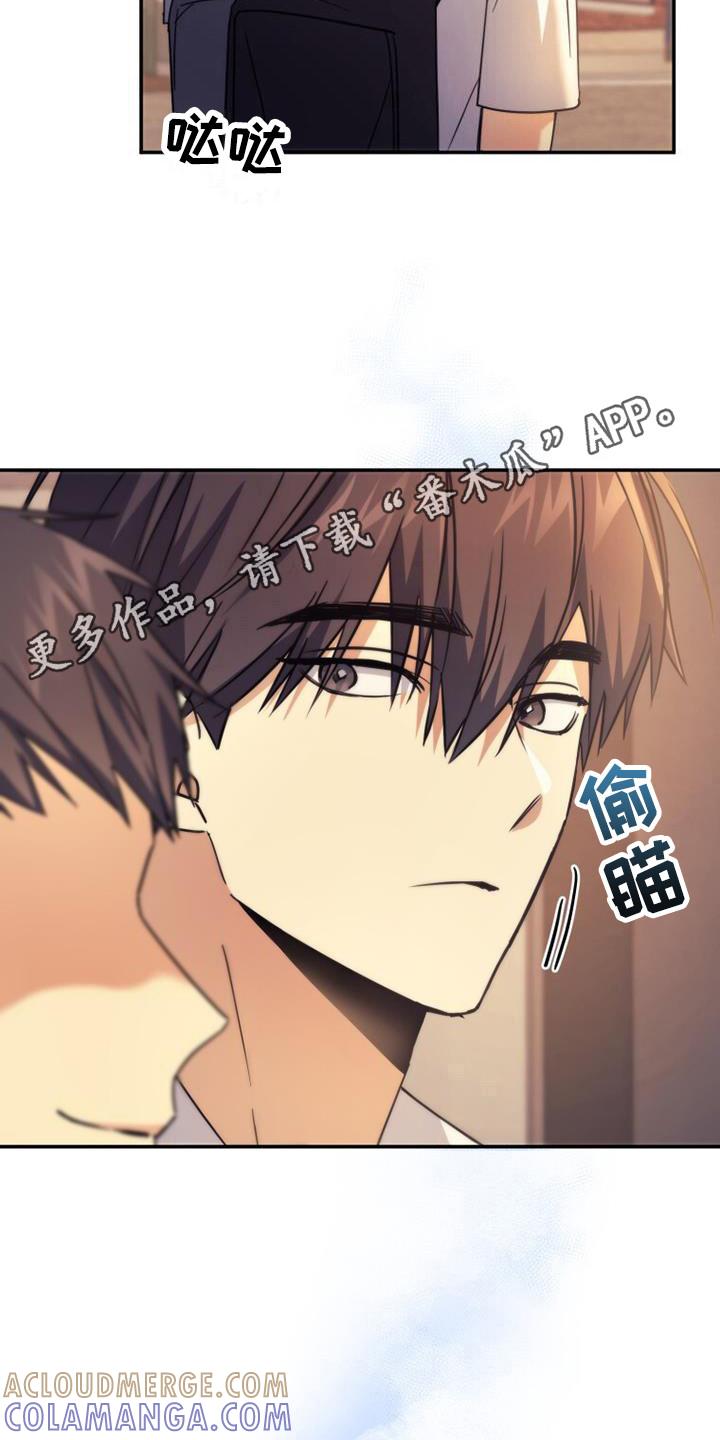 《追逐繁星》第31章：展望未来 第5页
