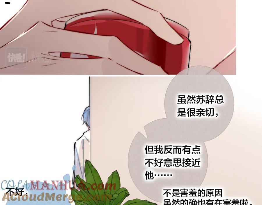 叼只少爷回家 番外 同一世界的辞浅02 第37页
