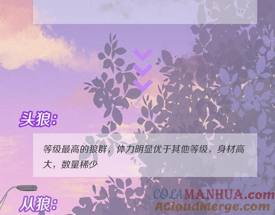 叼只少爷回家 人物小档案 第7页