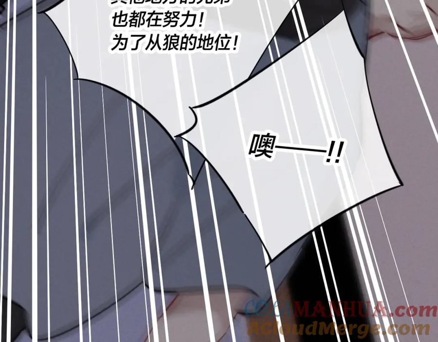 叼只少爷回家 第62话 安吾长毛耳朵了_! 第43页