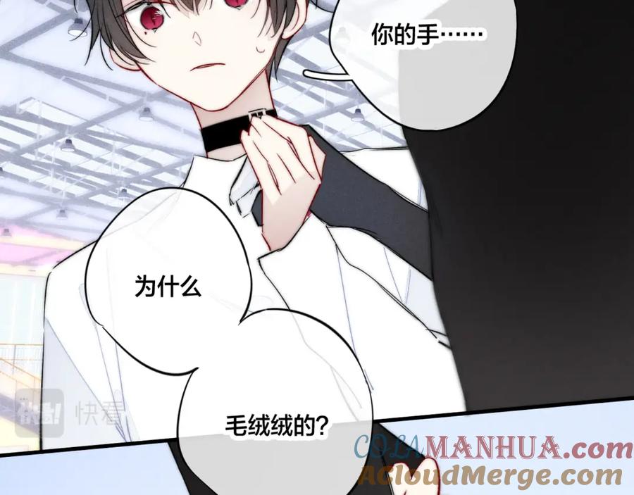 叼只少爷回家 第62话 安吾长毛耳朵了_! 第37页